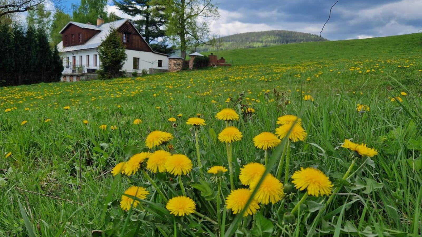 Knezice 25, Chalupa V Krkonosich Врхлаби Экстерьер фото
